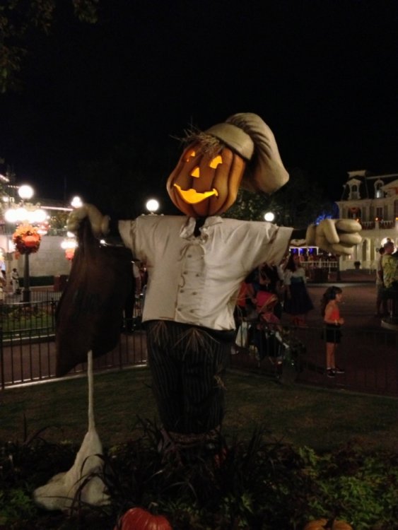 mnsshp_media_36.thumb.jpg.47bc7526d15cf4828834d4496b2ac844.jpg