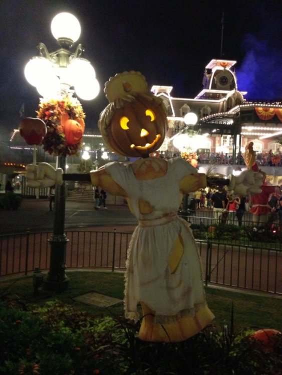 mnsshp_media_37.thumb.jpg.733a52a58fe126603a3ea7260daa4538.jpg