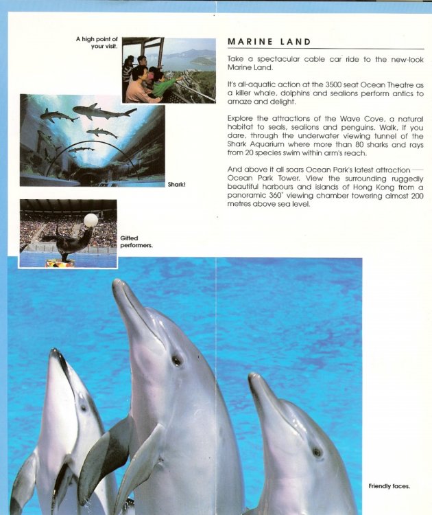 oceanpark3.thumb.jpg.38e6cf4ff1d7f2b15d08dfca35d5c485.jpg