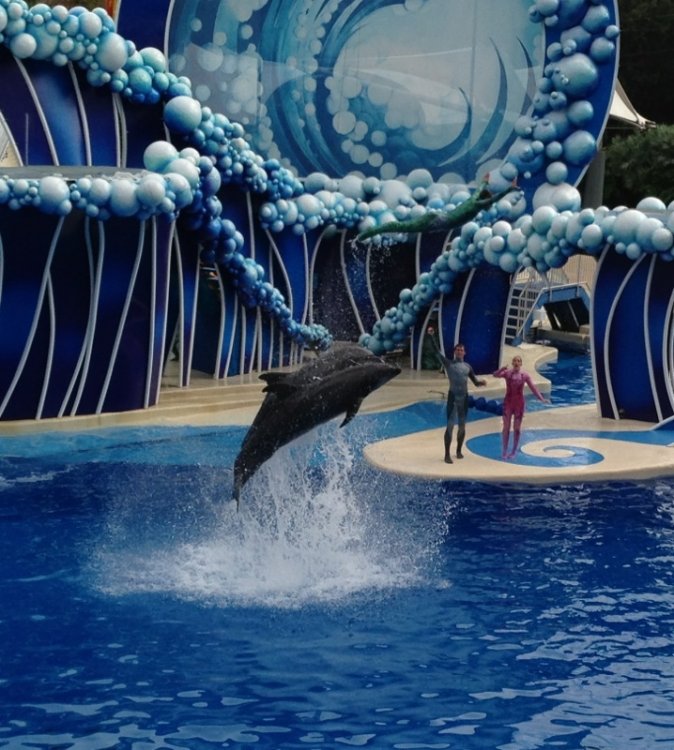 seaworld_16.thumb.jpg.14b5ab4bb014c9115ea9ac0a7437add7.jpg