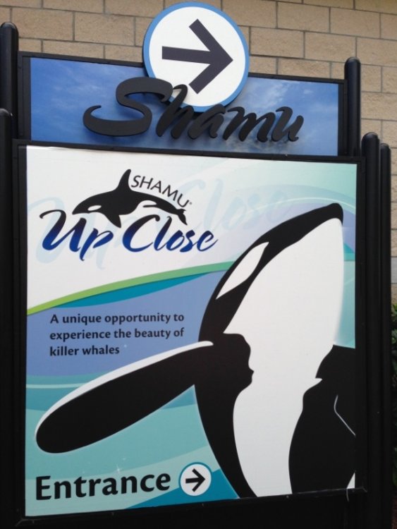 seaworld_24.thumb.jpg.6eefd55b1f4288c1319031bb74997664.jpg