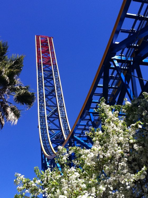 sfmm_feb2011_17.thumb.jpg.9c60dd4d6c50b6524a44a6ac88c470ce.jpg