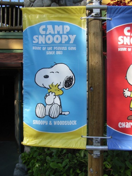 snoopy_sign.thumb.JPG.ce16741a6591e2f16d60d2e82208250c.JPG