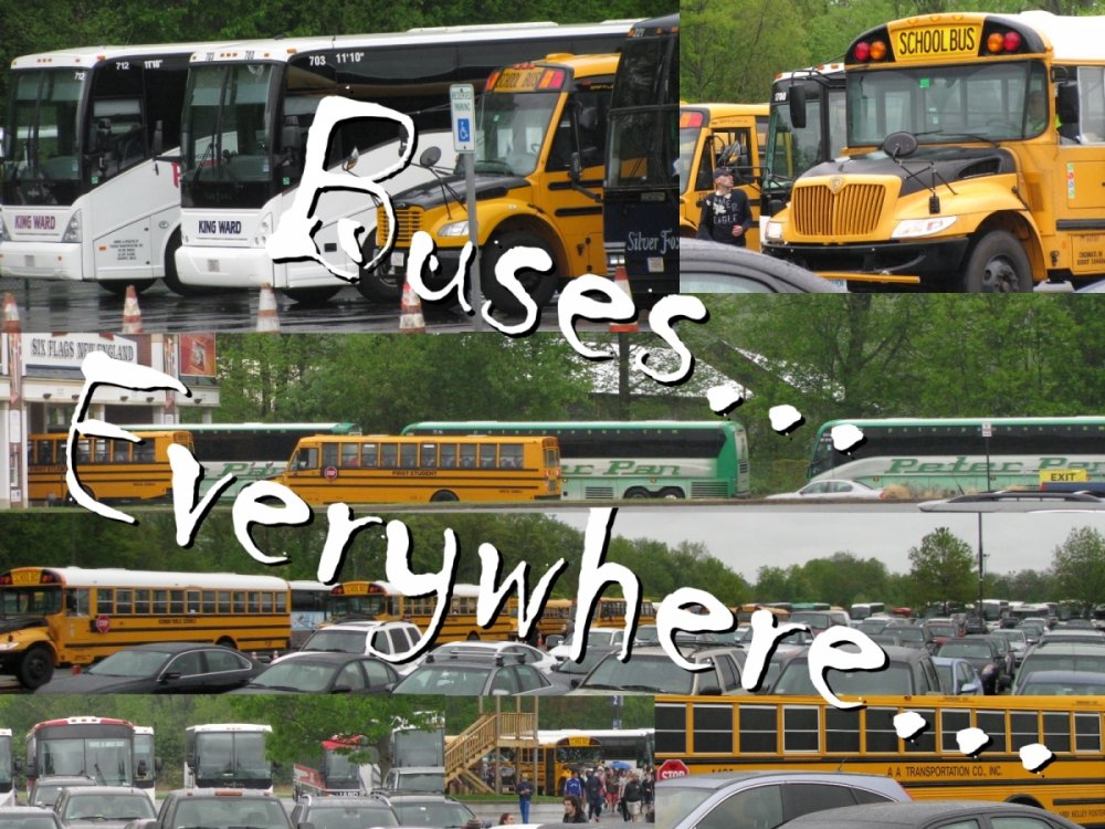 somanybuses.thumb.jpg.c8e0a2e951c7d734273f3d8cb8000b4a.jpg