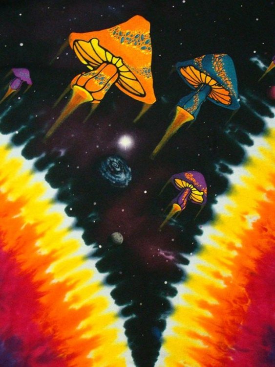space-mushrooms-tie-dye-t-shirt-4.thumb.jpg.4814319ad9708e894ce83f71ce639270.jpg