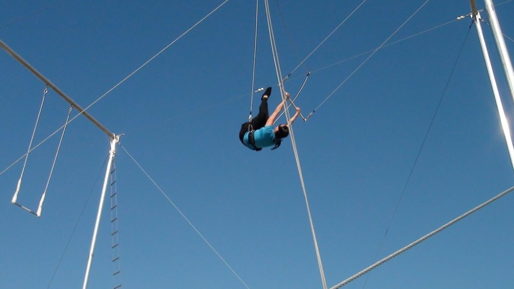 trapeze_10.thumb.jpg.6939969cf64d01a98cd2ccb990639c21.jpg