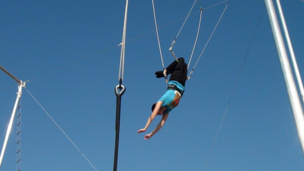 trapeze_11.thumb.jpg.1c97b302c61a254f39ef86431b446697.jpg