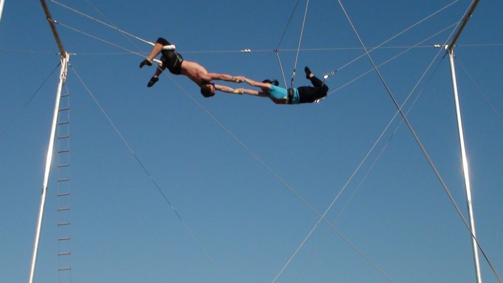 trapeze_14.thumb.jpg.4d5b40f39eb5b8fe5c0cb7a91bd22a21.jpg