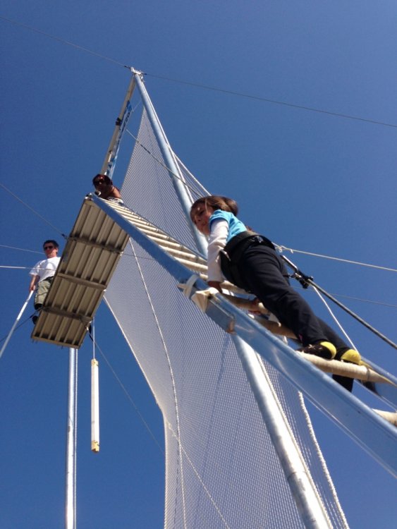trapeze_15.thumb.jpg.4913a073912f26336a01f7db1edfb3ff.jpg