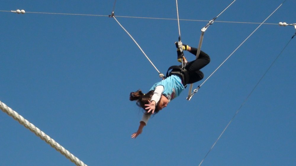 trapeze_16.thumb.jpg.a2ddd6bc35aacdf86bf9051dc547248b.jpg