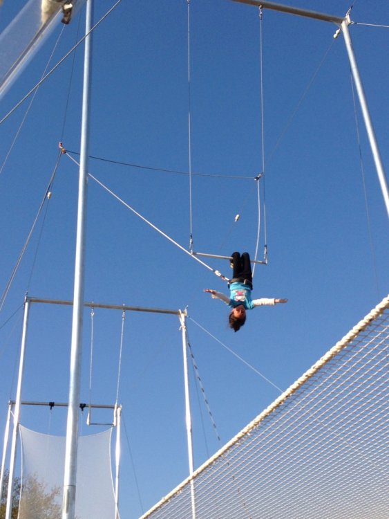 trapeze_19.thumb.jpg.86c7f40c6519414f53d0da48f6a6860b.jpg