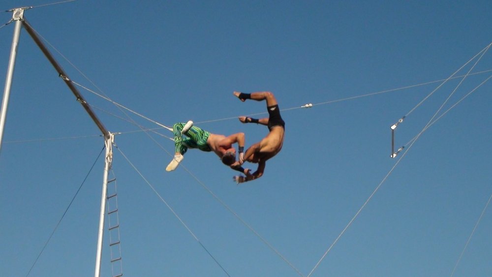 trapeze_20.thumb.jpg.4135c83eef723f13bb8733dd2868ed55.jpg