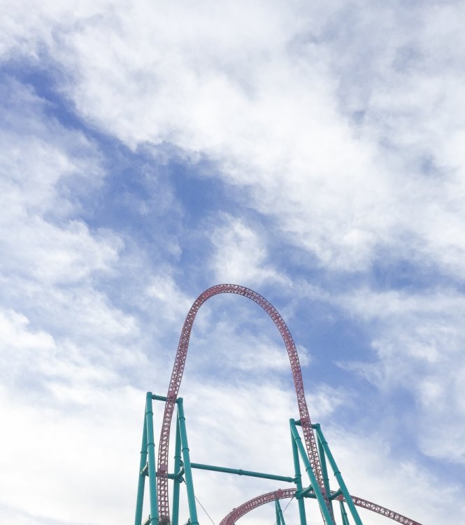 xcelerator_006.thumb.jpg.a0494224f74e53a06b0c98d0fad866a2.jpg