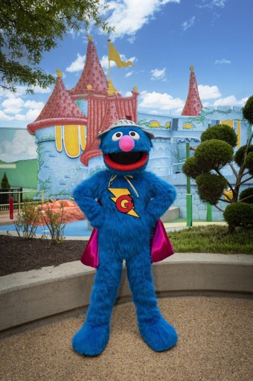 1000058378_SuperGrover.thumb.jpg.ad3ed2f2a28592404358ce5837b4b180.jpg