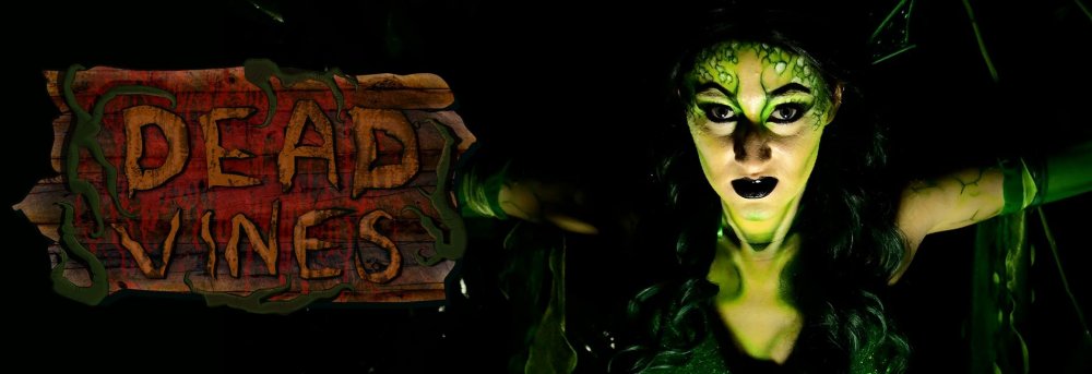 1900x500-SWO-HOS-Haunted-Houses-DeadVines.thumb.jpg.2f90c214919c82aca14afd215860e778.jpg