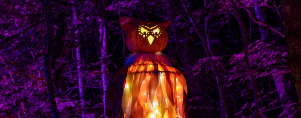 Movavi ScreenShot 051 - Dollywood Festivals & Events - www.dollywood.com.jpg