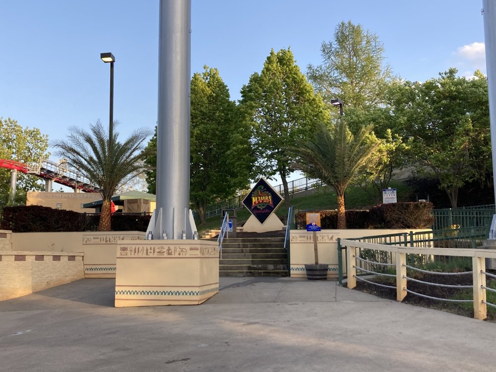 Mamba and palms 043023.JPG