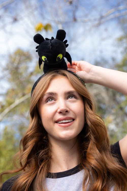 How to Train Your Dragon Merch (3) - MMS at USH.jpg