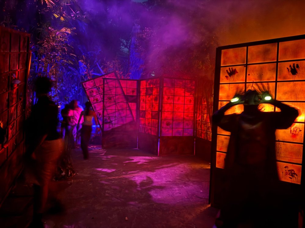 018.thumb.jpg.4e209fc998d10a09d2f29bd82136358c.jpg