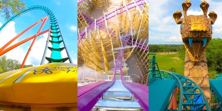Video of Each Coaster at Busch Gardens Tampa!