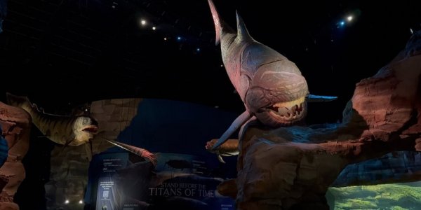 Adam Visits One of the World's Largest Aquariums!