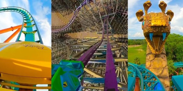 Ride Every Roller Coaster at Busch Gardens Tampa!
